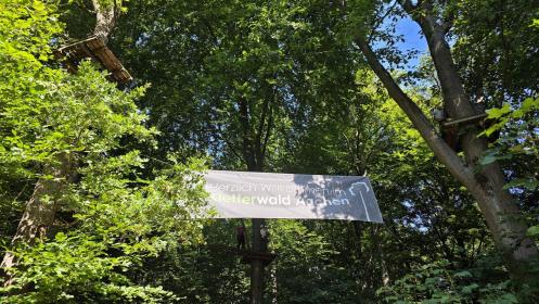Kletterwald Aachen