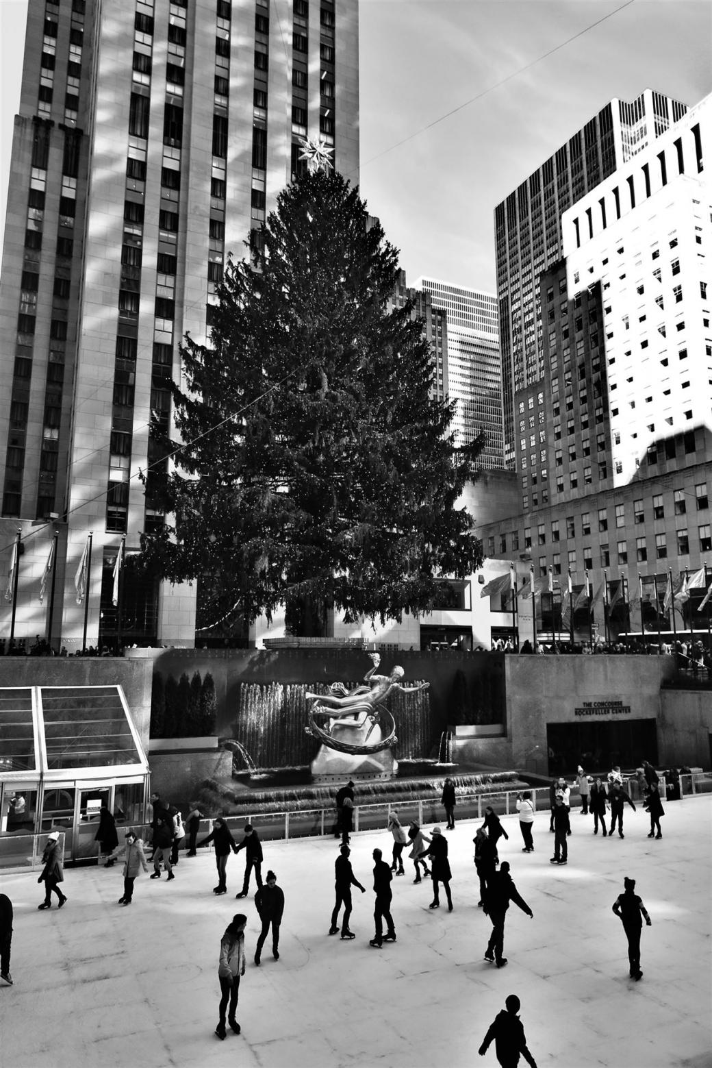 NewYork112016